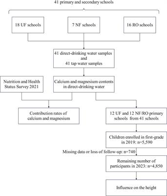 Contribution of direct-drinking water to calcium and magnesium and the influence on the height in school-age children